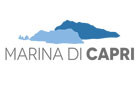 Avviso pubblico per presentare candidatura per nomina di 1 componente Revisore Contabile della Società Partecipata P.T.C. Porto Turistico di Capri Spa a Socio Unico